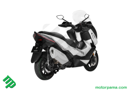 ZT368_E (3)